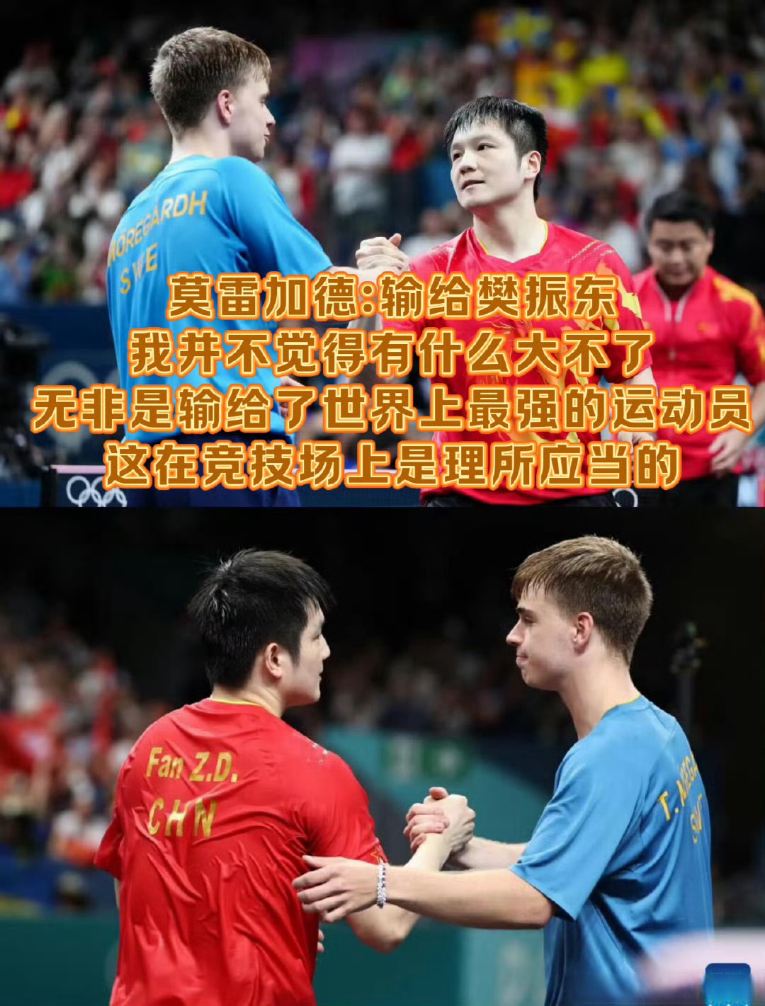 奥地利队碾压法国队，樊振东刷新纪录