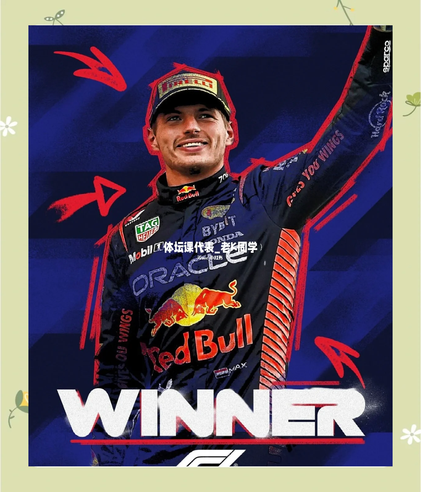 威廉姆斯横扫哈斯车队，维斯塔潘刷新纪录