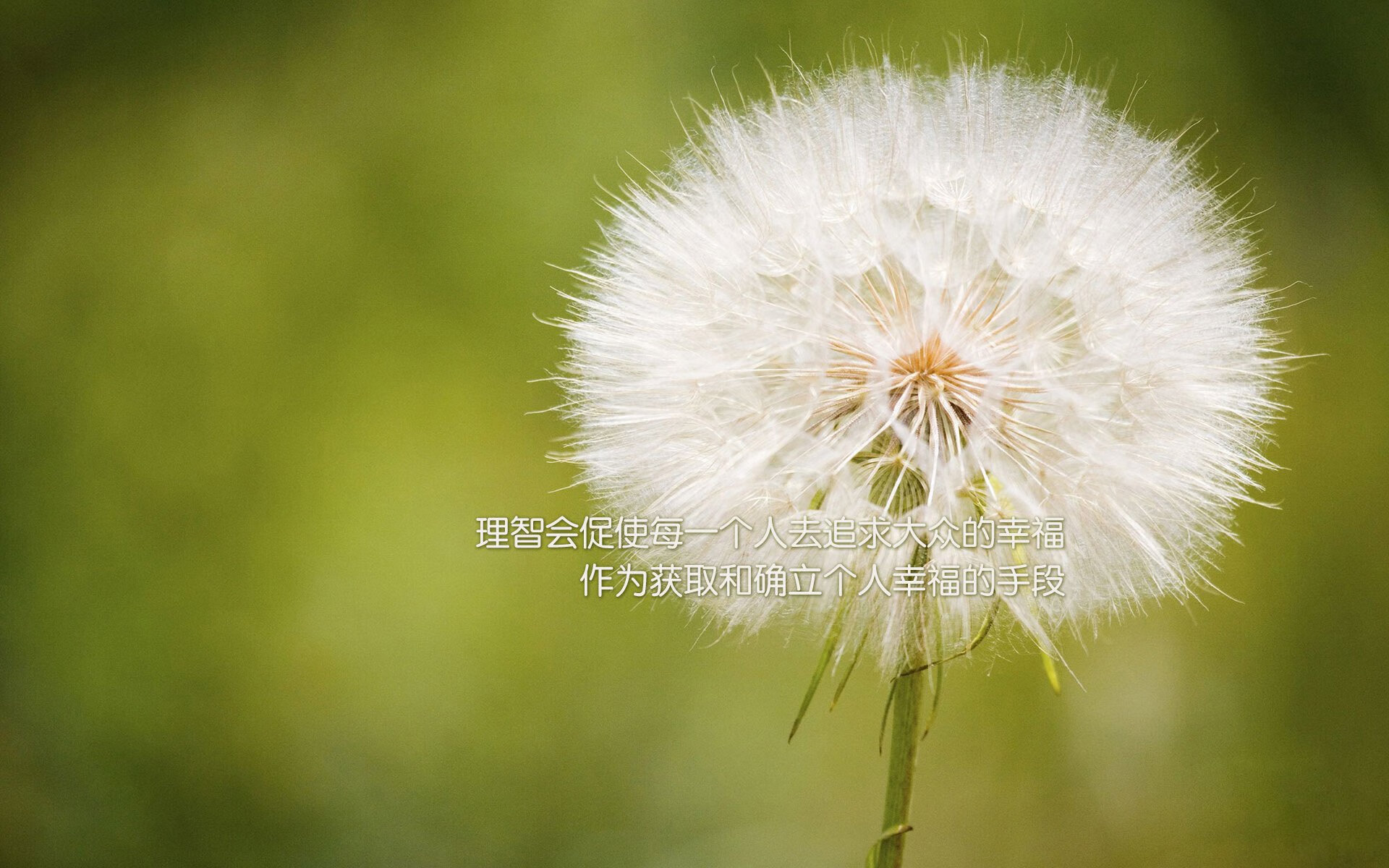 战火熔炉，巴斯托尼爆发之夜，雷恩血拼铸就国际米兰命运之剑