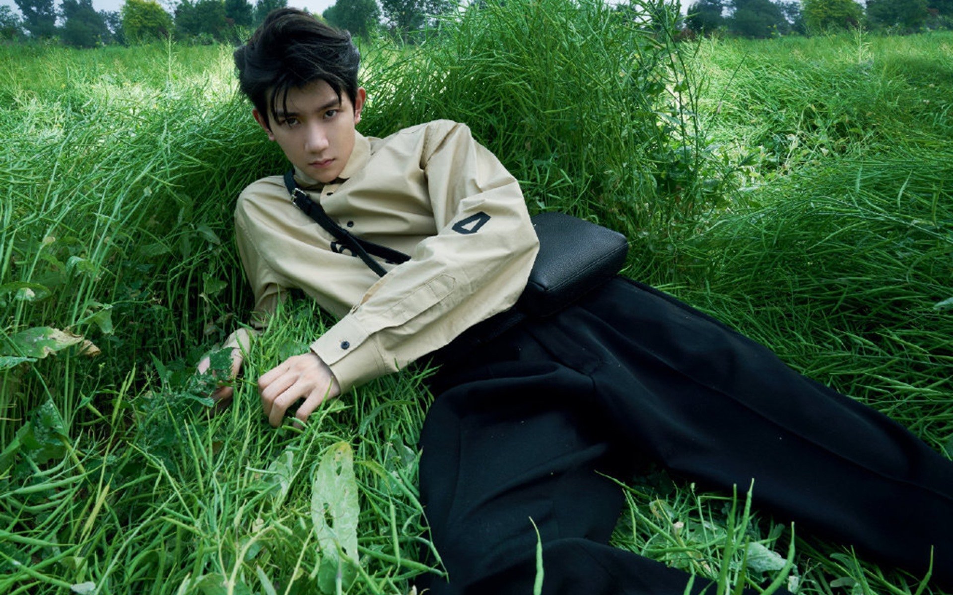 黄黑风暴席卷梦剧场，多特蒙德战术制胜，曼联欧冠之路蒙阴影