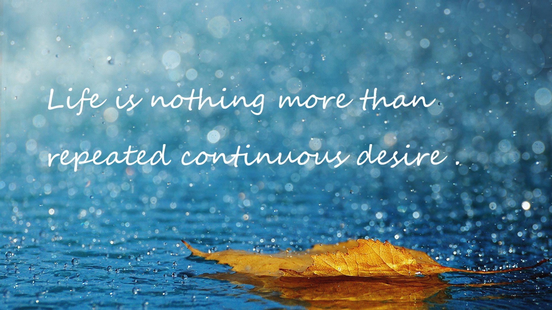 绿茵钻石，加维用金子般的心照亮安联，拜仁涉险过关却现裂痕