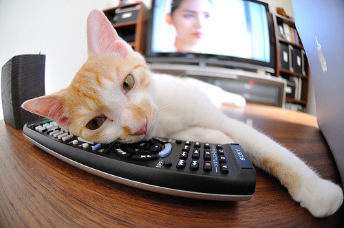 防线之盾变攻城锤，金玟哉那不可复制的闪耀一夜