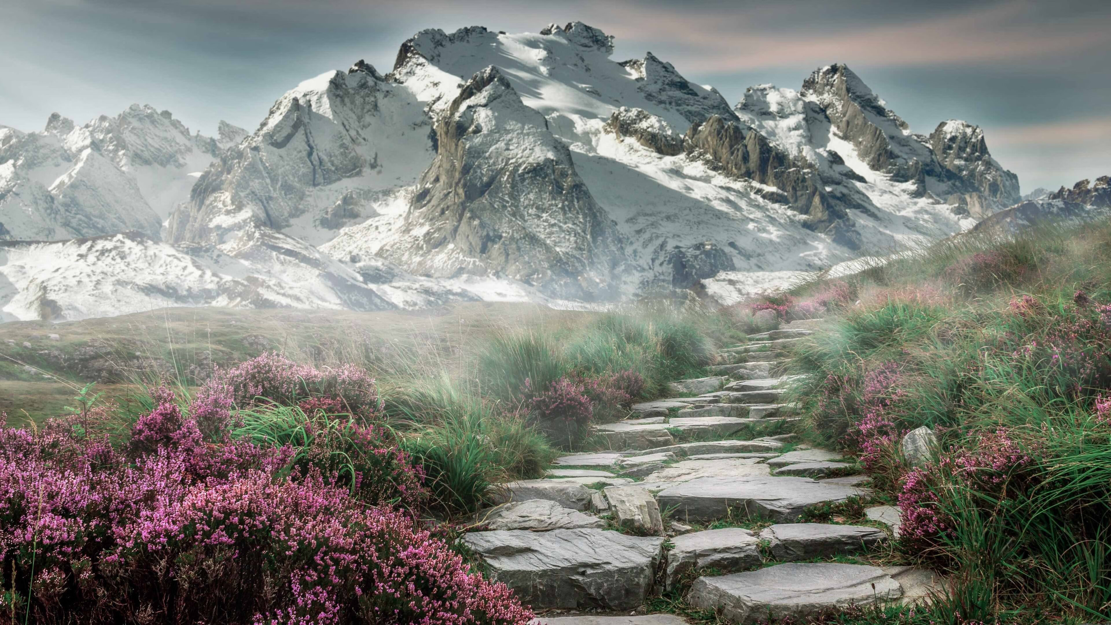 突尼斯，格列兹曼的斗牛士之舞，当北非雄鹰在欧冠半决赛踏平伯纳乌，新王在此觉醒