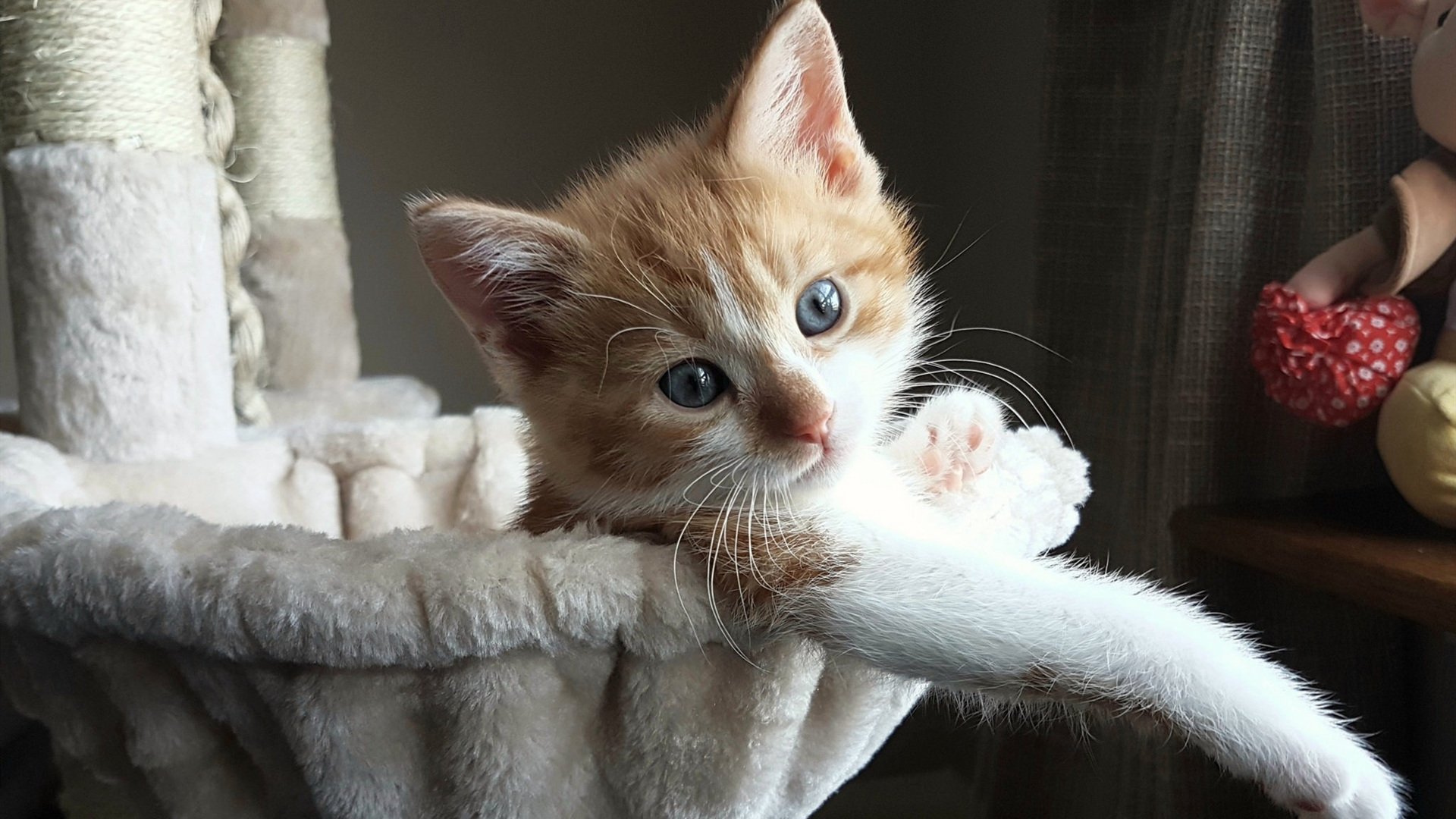 克莱·汤普森关键先生降临丹佛!掘金主场狂胜马刺创赛季新高