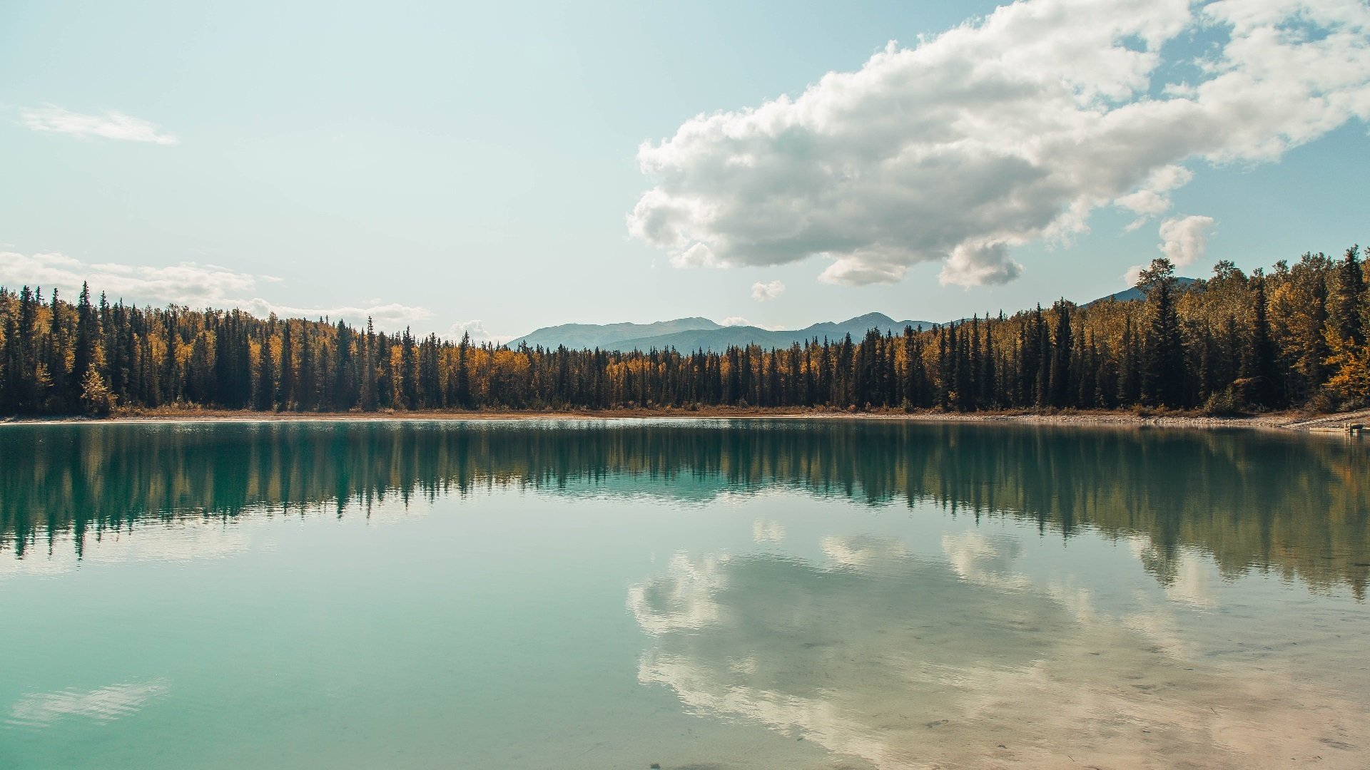 当文班亚马撞进青铜巨阵,雄鹿与广厦的防线在他的天赋面前,不过是史前遗迹