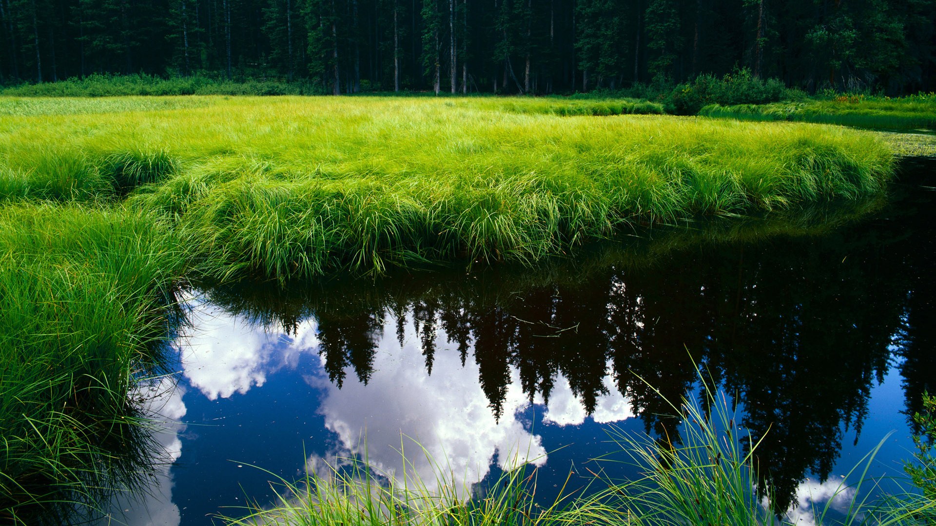 破壁者与体系风暴,三笘薰的稳定艺术与巴萨的战术洪流