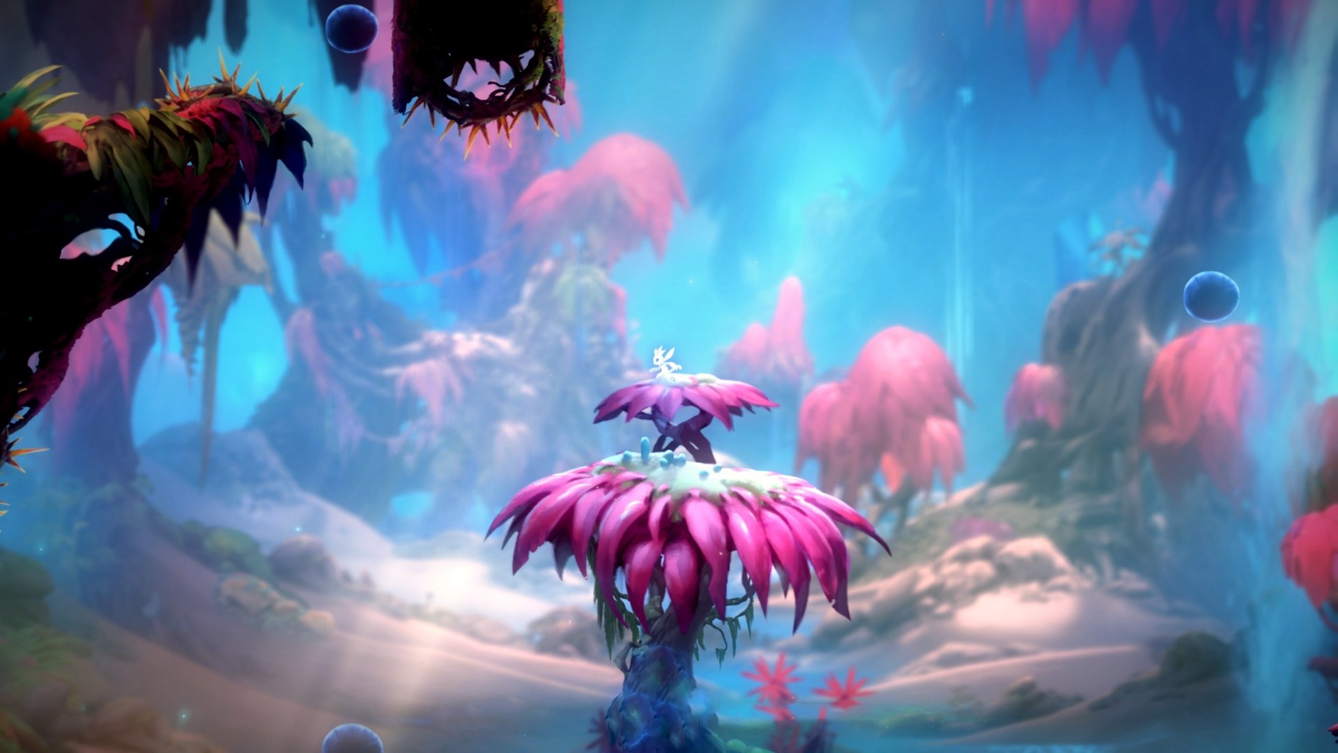 罗马军团夜袭东方金库，阿克孤胆破门埋葬卡塔尔黄金时代