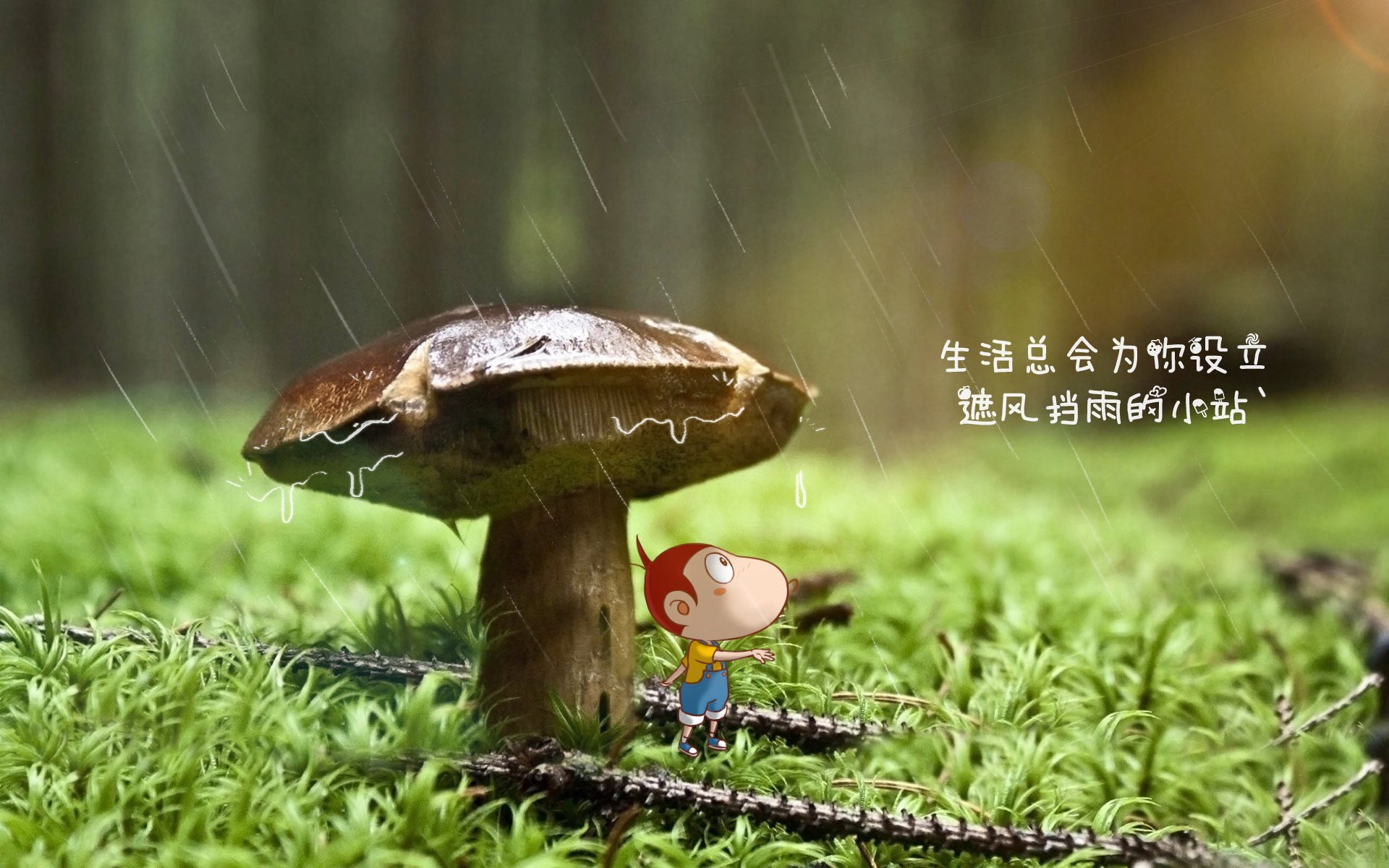沙漠风暴中的潘帕斯之刃,2026世界杯,哥伦比亚绝杀沙特,苏亚雷斯的不老传说