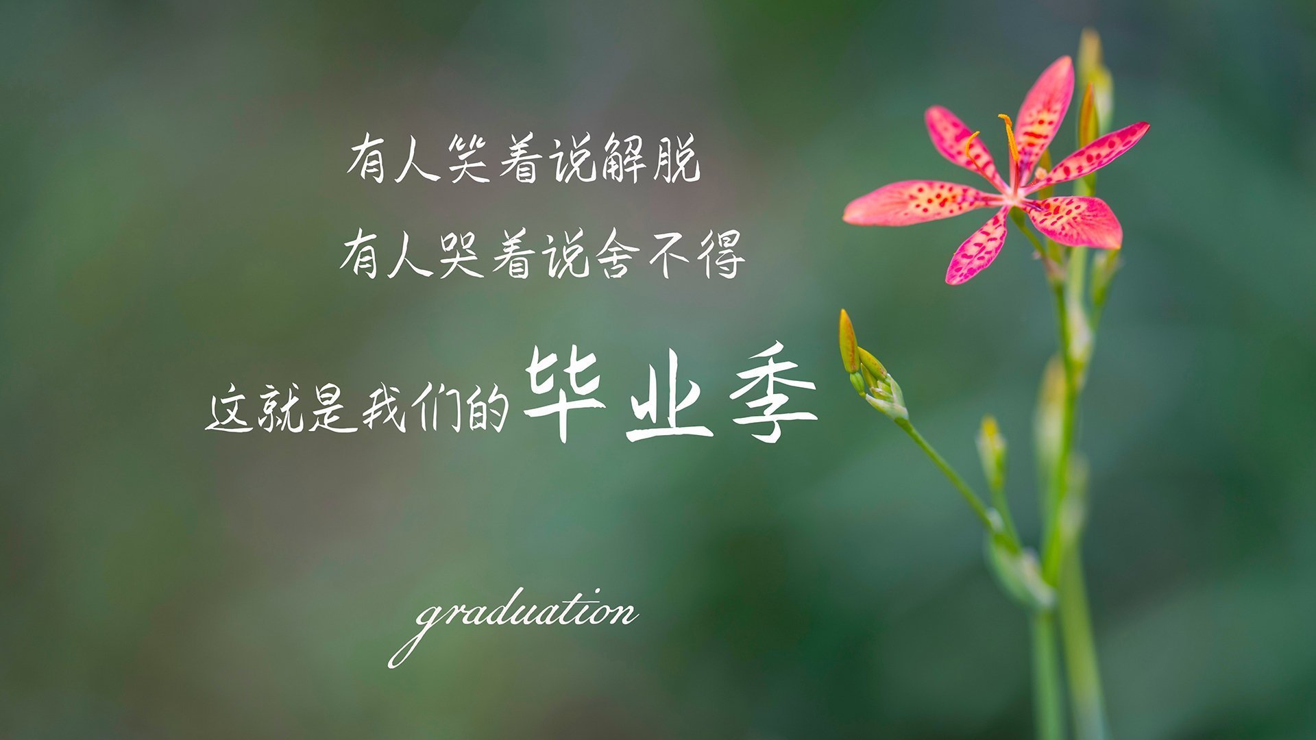 唯一的光,当斯洛伐克的逆袭遇见阿方索·戴维斯的古典密码