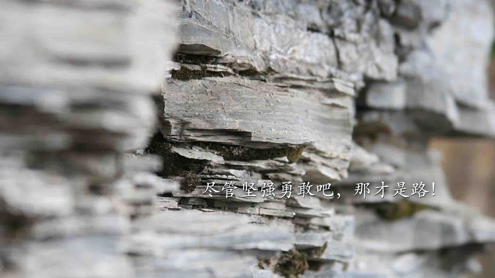 红与绿的史诗，阿诺德的右路风暴与哥伦比亚的铁壁