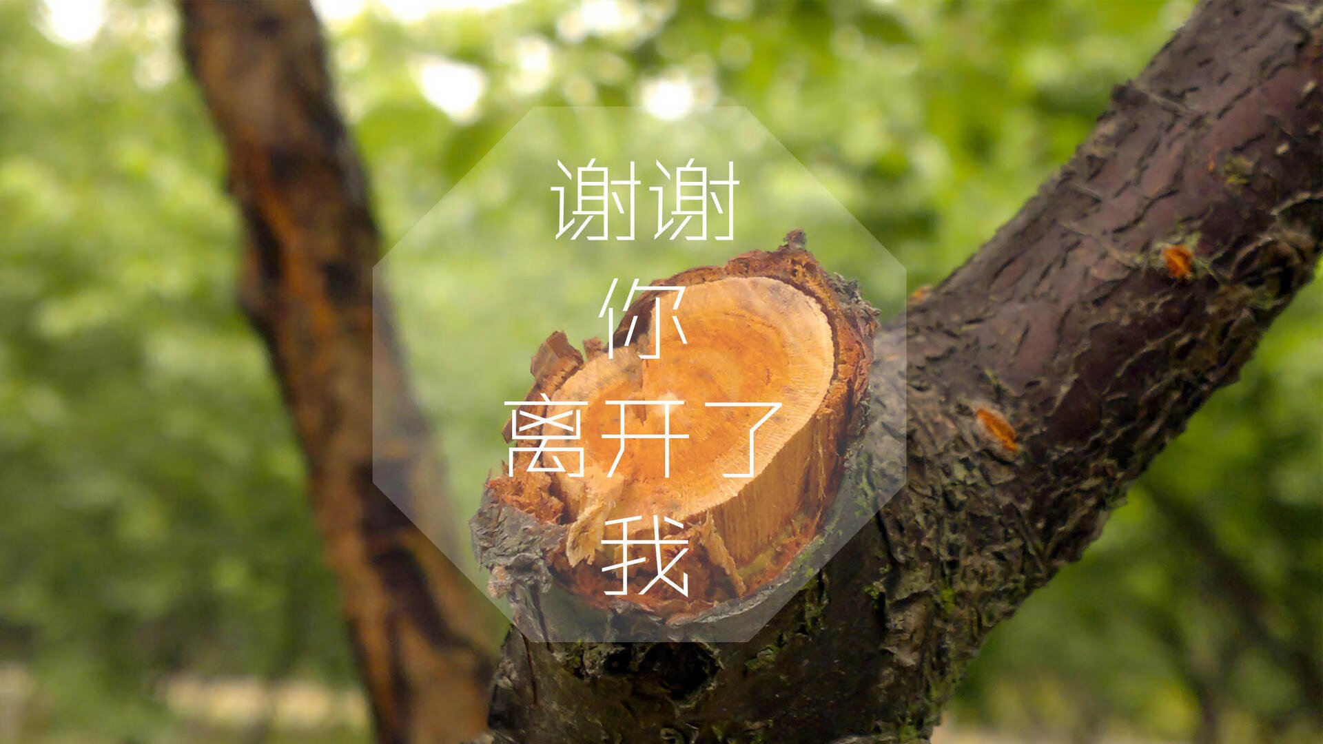 血战温布利,拉什福德一剑封喉,改写G组命运的唯一方程式
